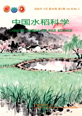中国水稻科学封面